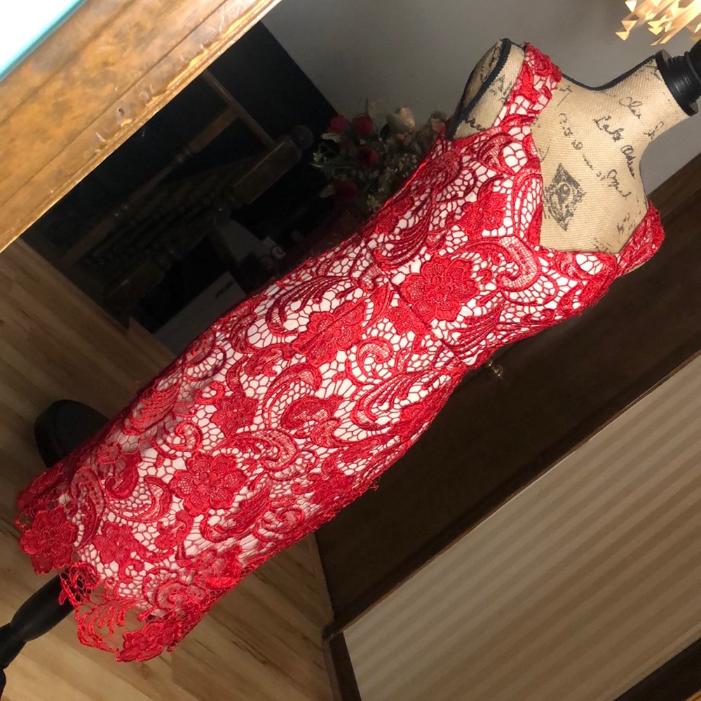 Spicy Mami Dress View 2